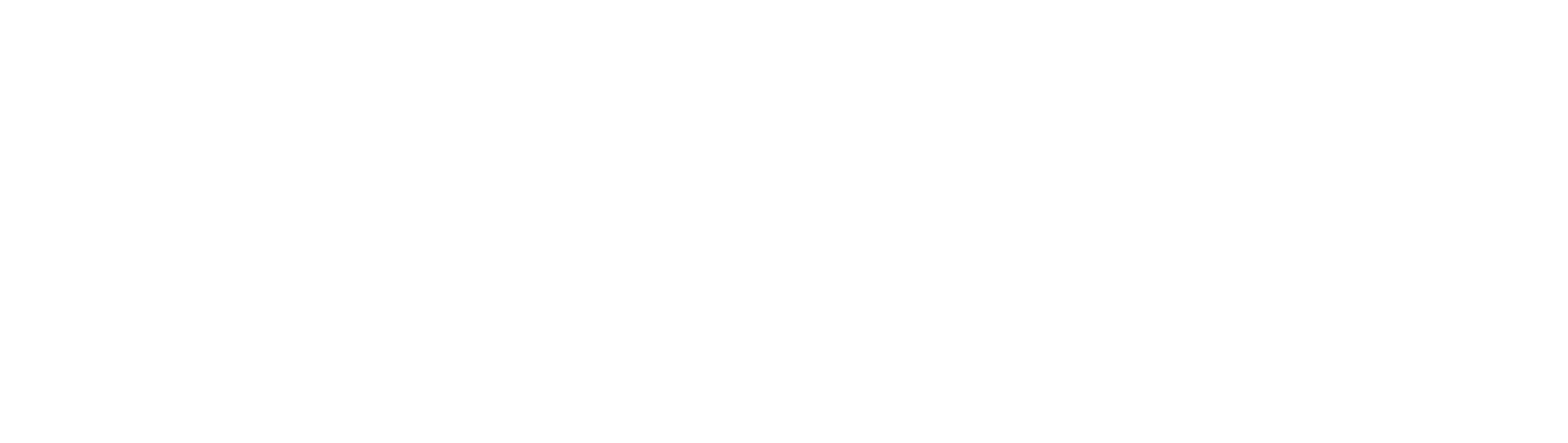 Main Logo